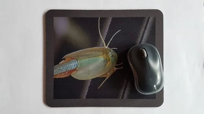 Mousepad Triops Longicaudatus