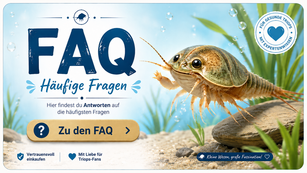 Triops Fragen und Antworten