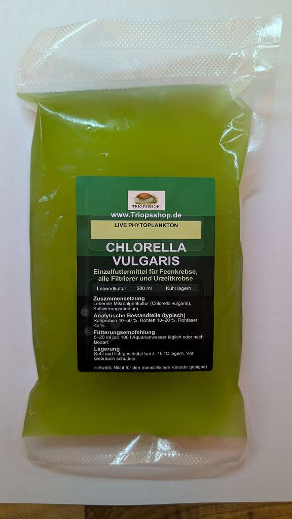 Chlorella vulgaris Süßwasser Phytoplankton