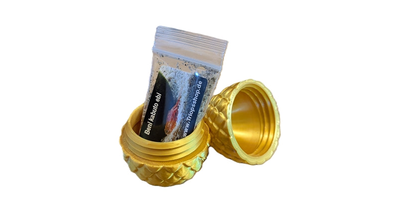 Goldenes Triops Drachenei mit Triops Eiern