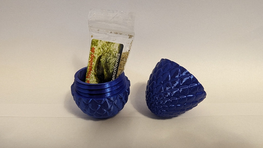 Blaues Drachenei mit Triops Eiern