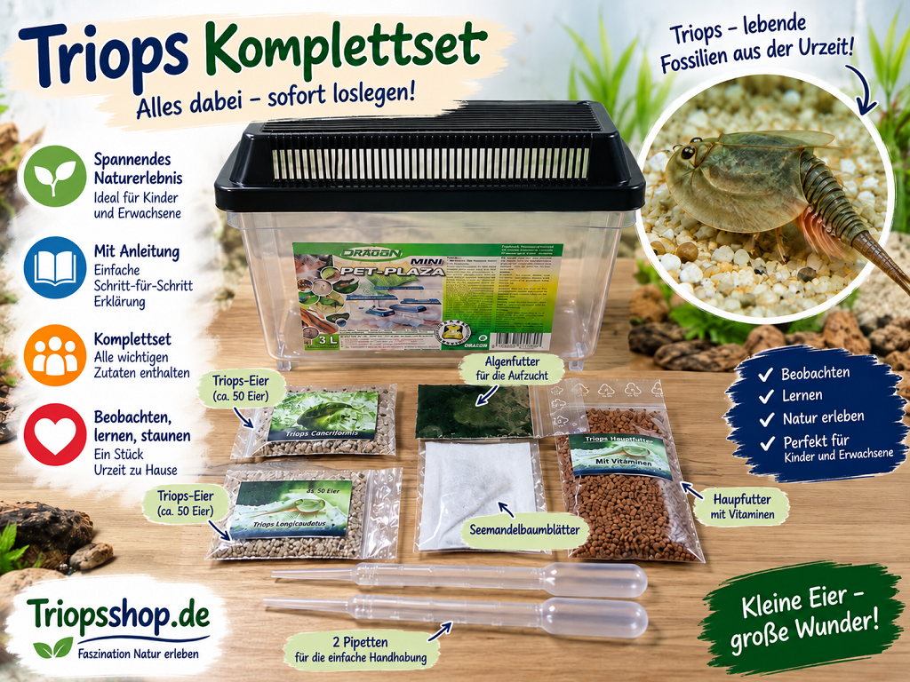 Triops Aufzuchtset mit Eiern Futter und Zubehör
