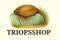 Triopsshop