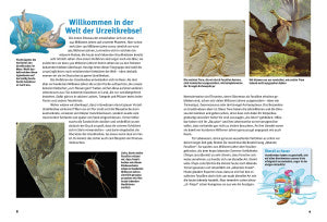 Kindersachbuch Entdecke die Urzeitkrebse