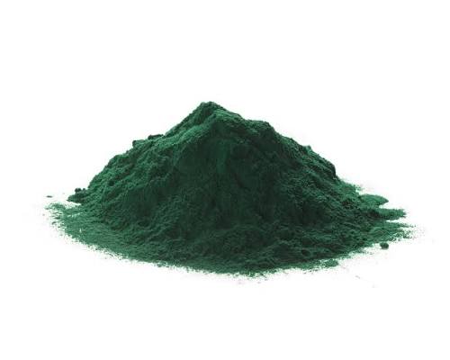 Triops Chlorella Staubfutter