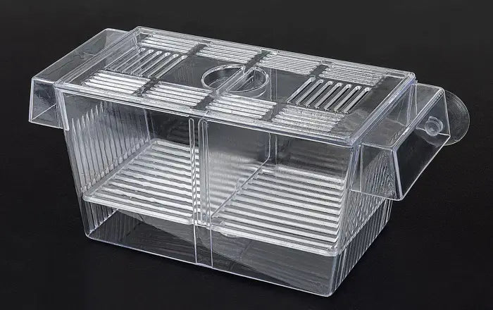 Aquarium Laichkasten für Guppy Platy Molly und Jungfische